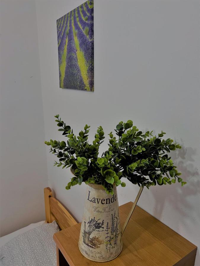Relax Apartament *